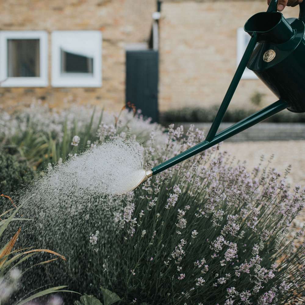 Haws The Warley Fall 9 L grøn